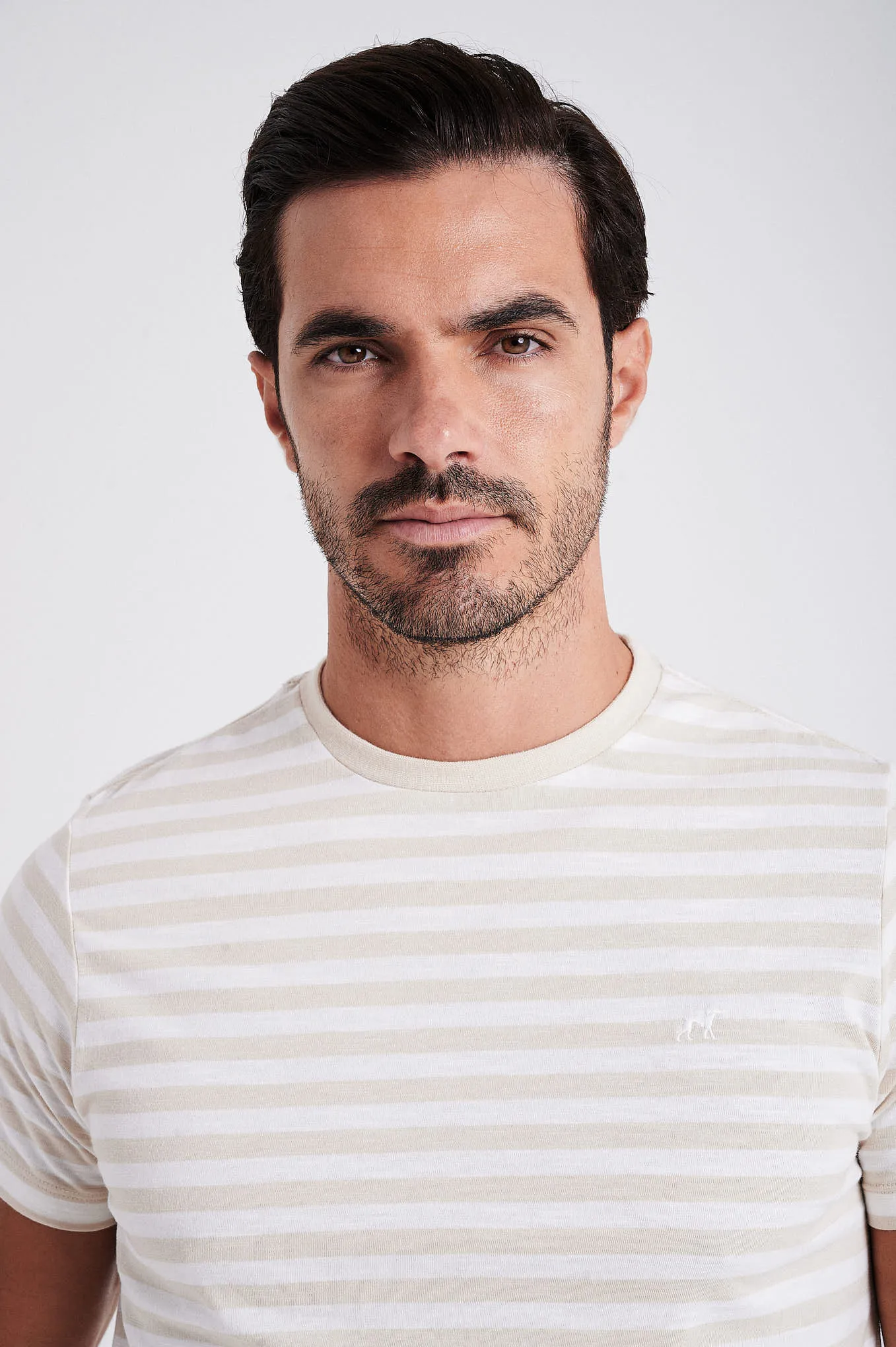 Men's striped organic cotton short sleeve t-shirt