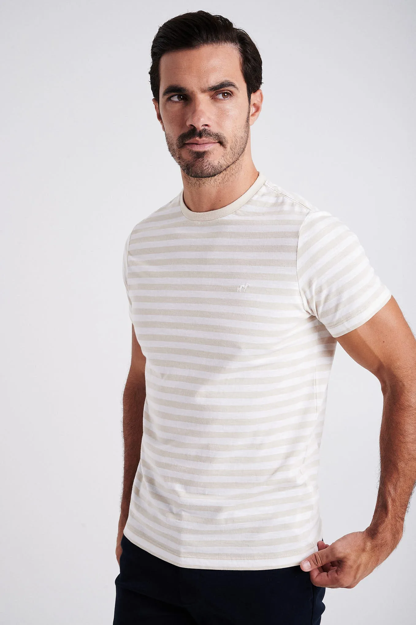 Men's striped organic cotton short sleeve t-shirt